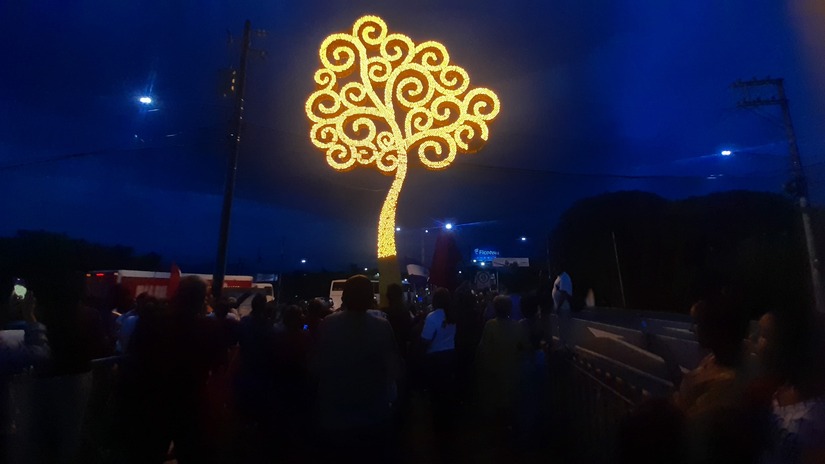 ARBOL-(6)
