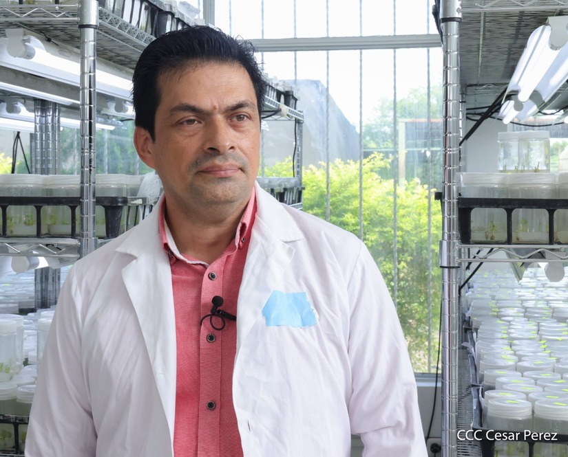 INTA-2