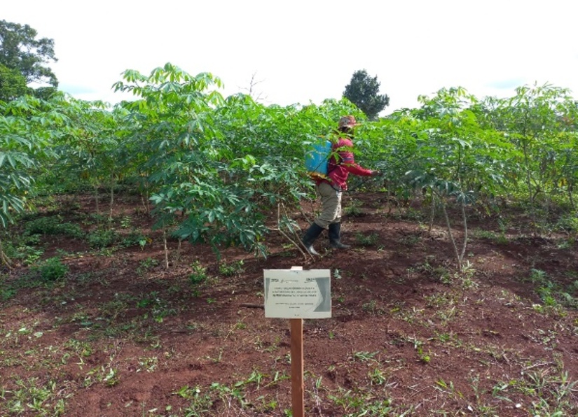 INTA-2