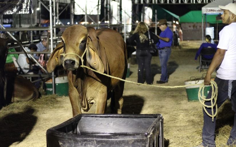 feria6