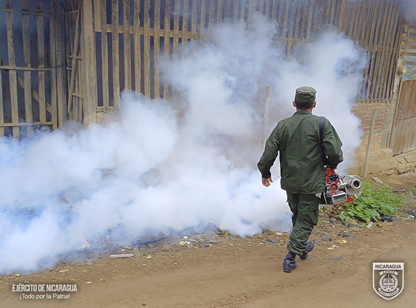 FUMIGACION3