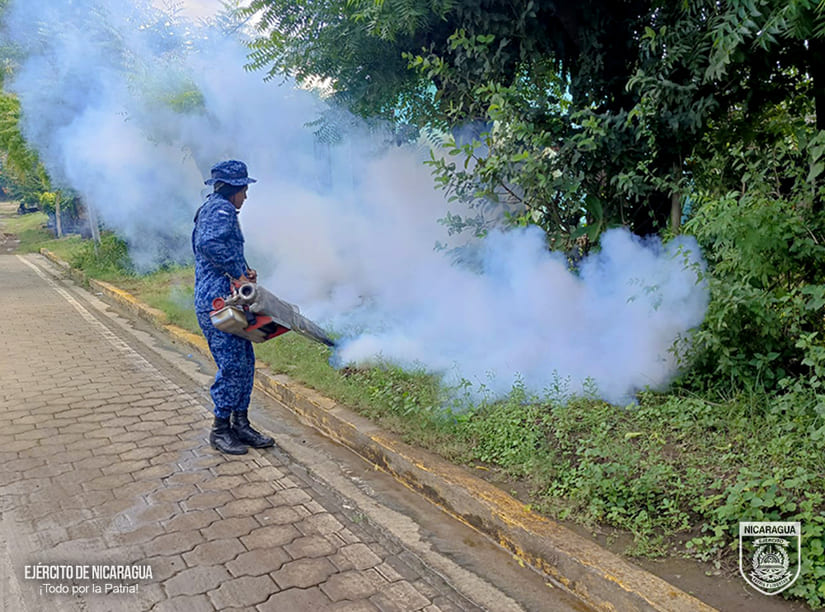 fumigar1