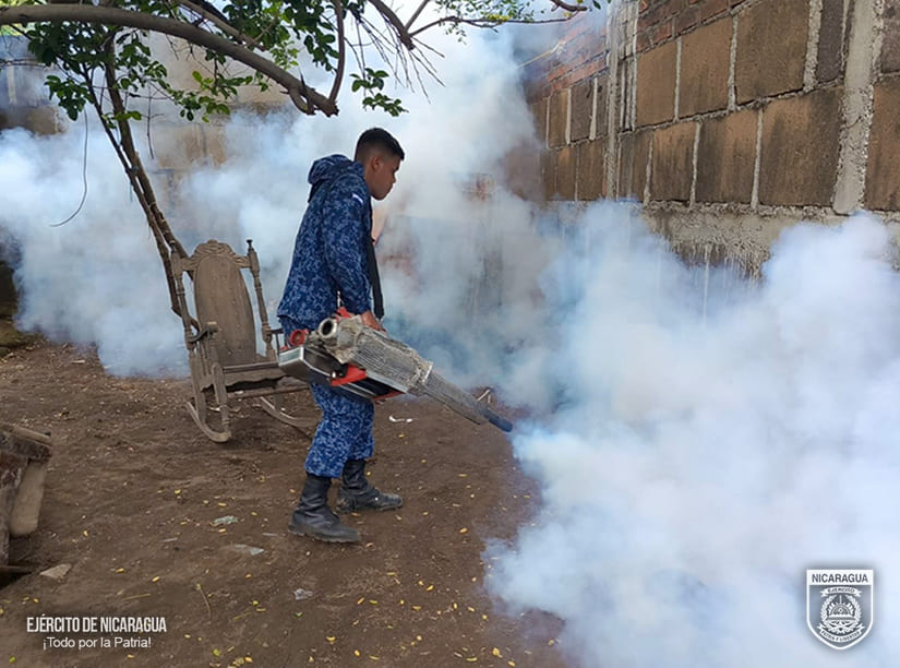 fumigar2