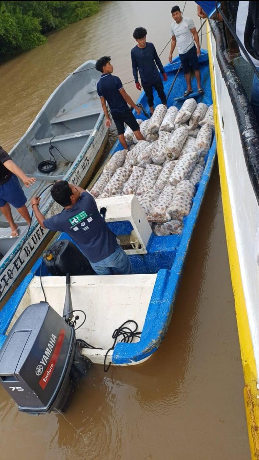 INPESCA10