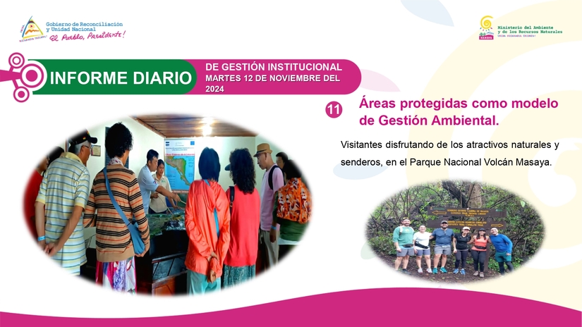 INFORME11