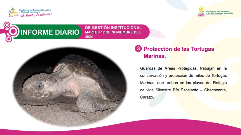 INFORME3