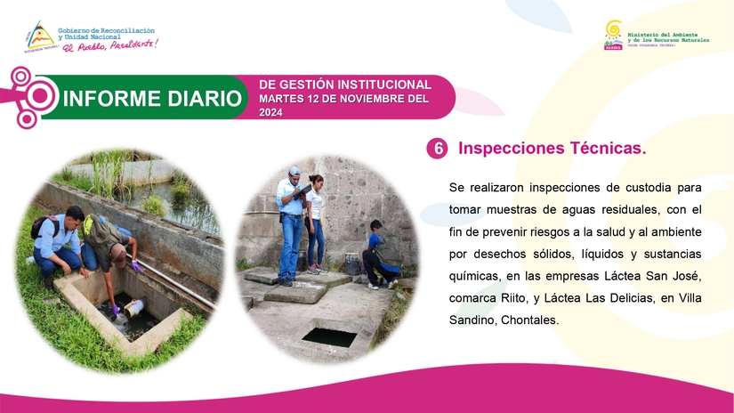 INFORME6