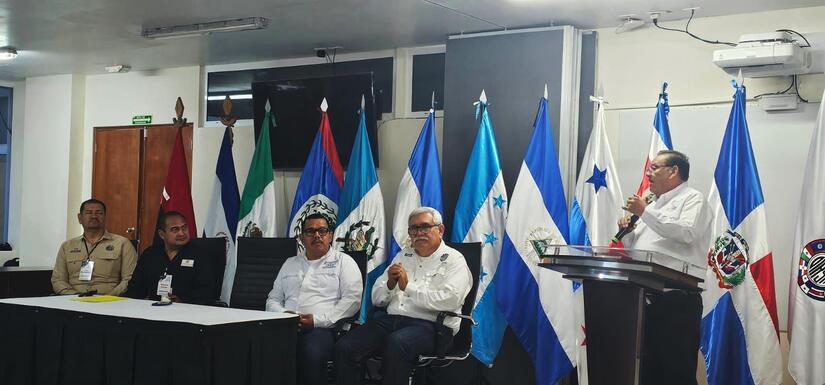 IPSA