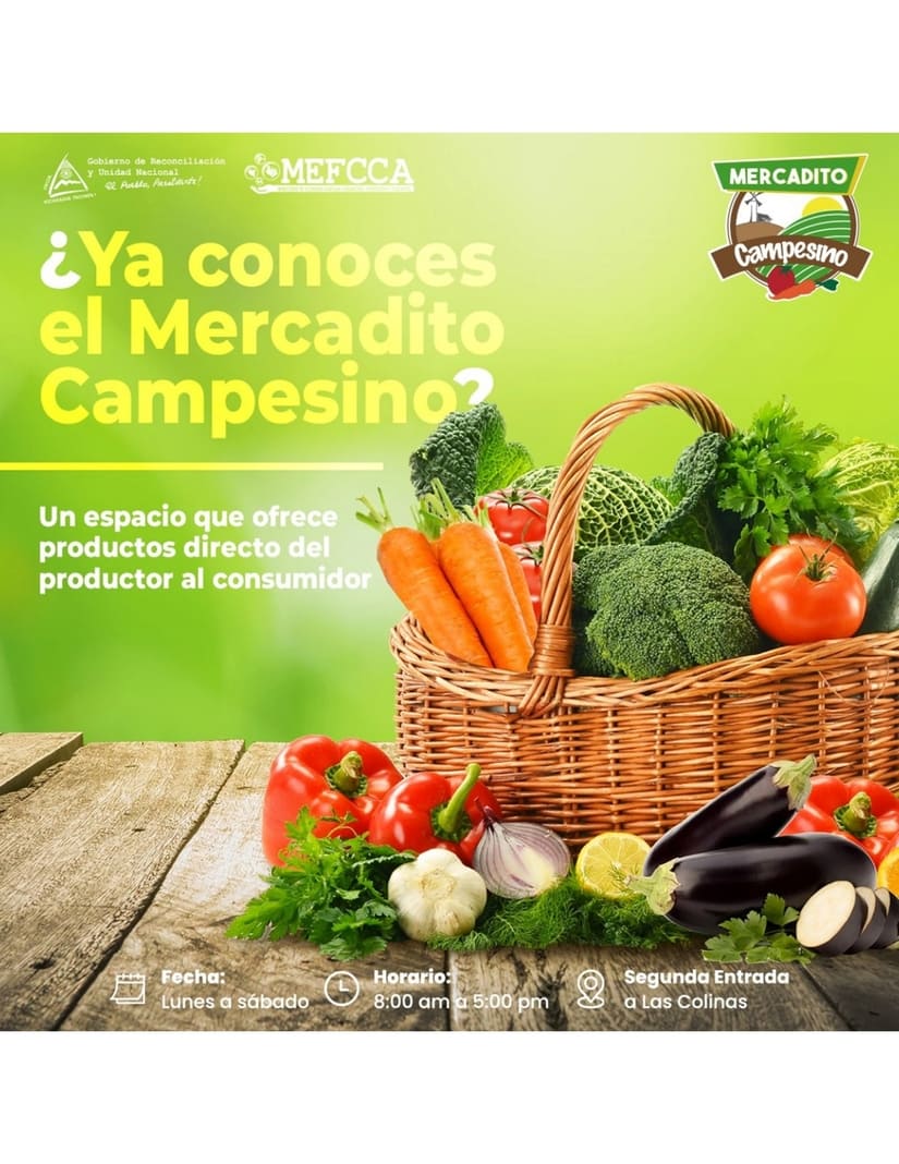 MEFCCA11