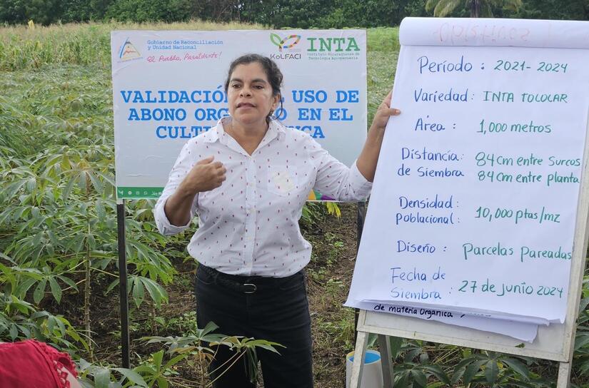 inta-7