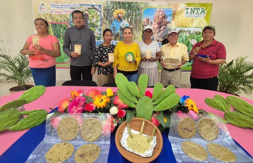 nopal11