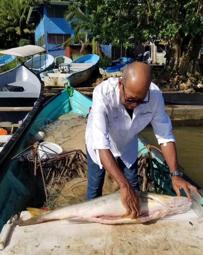 PESCA8