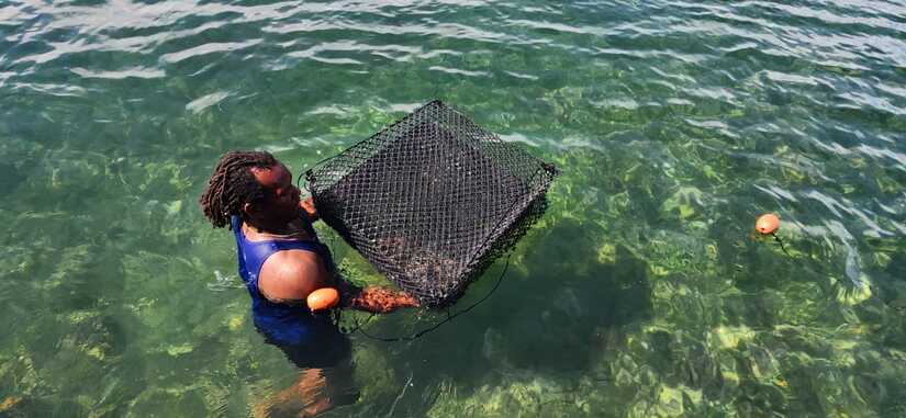 inpesca-5
