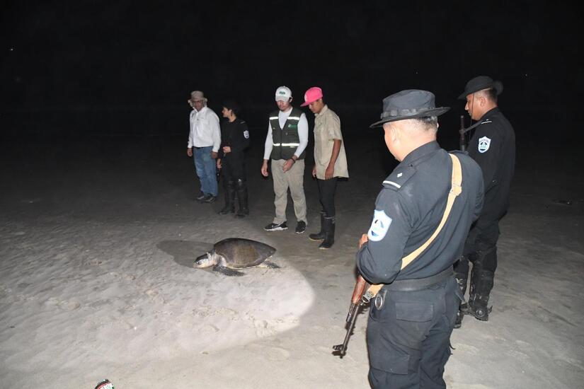 TORTUGAS3