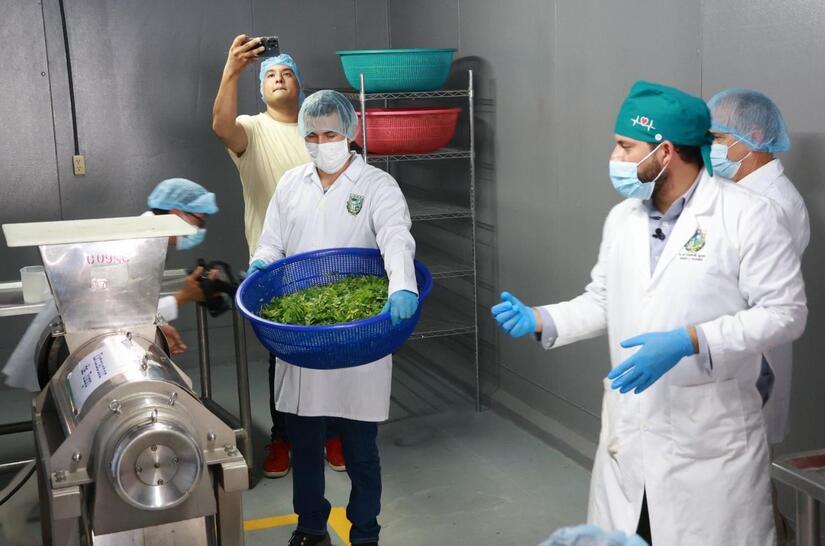 MORINGA10
