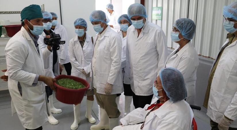MORINGA12