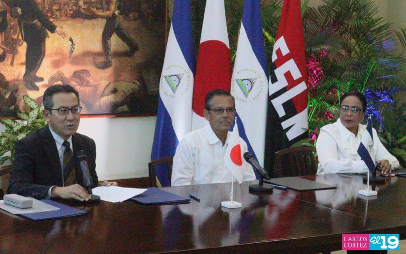 FIRMA6