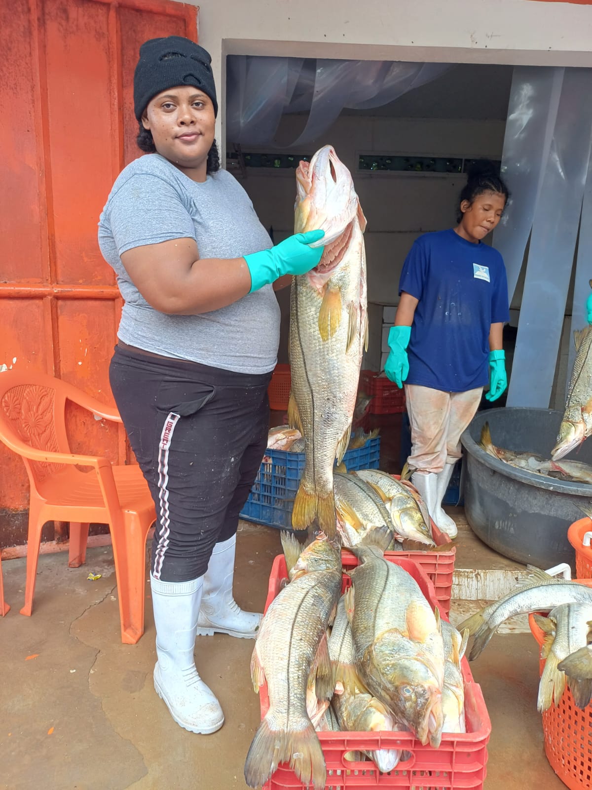 inpesca-6