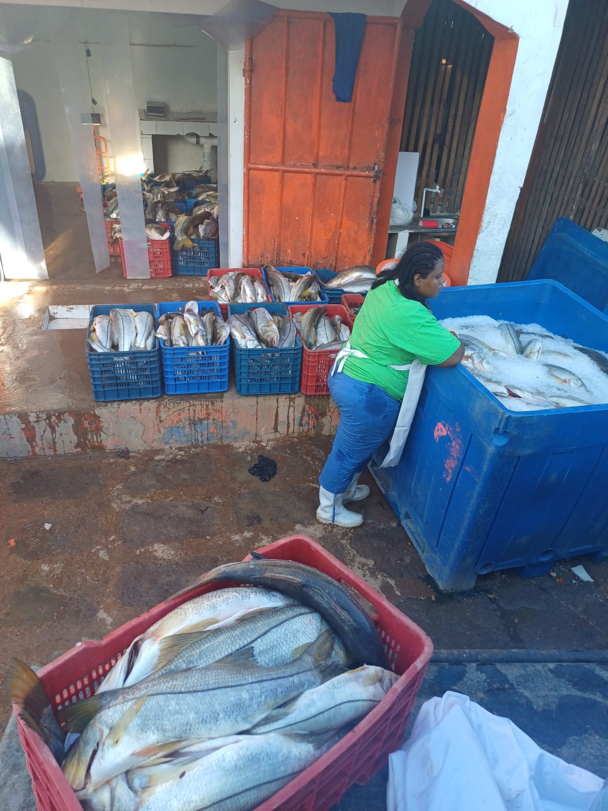 inpesca-7