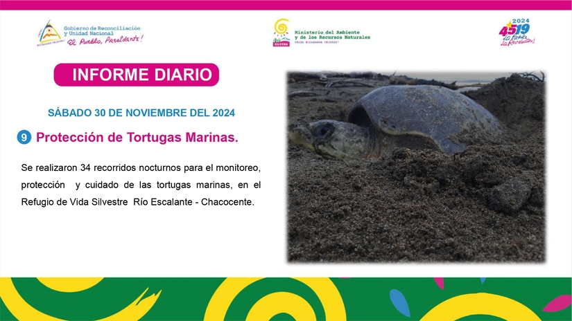 Informe-FotografA_co-SA¡bado-30-de-Noviembre-del-2024-_page-0009