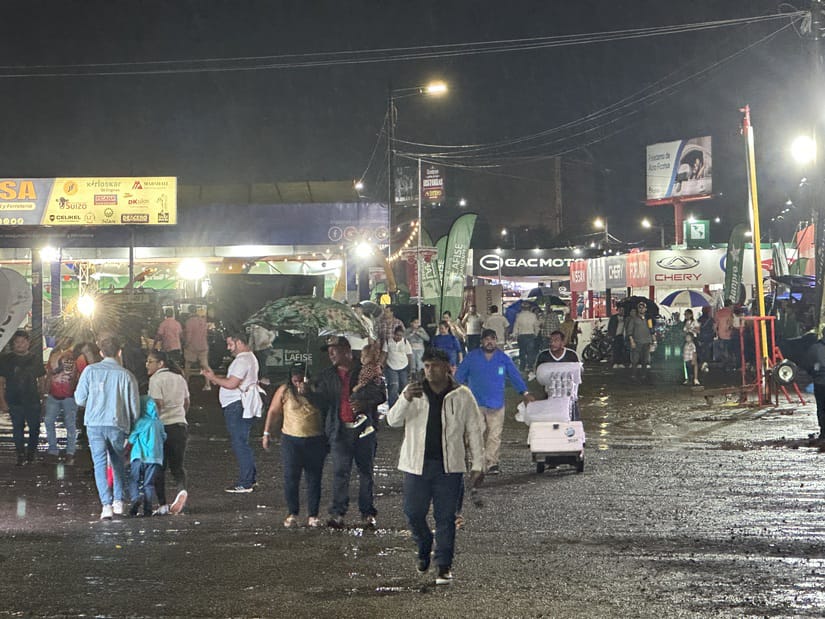 FERIA-7