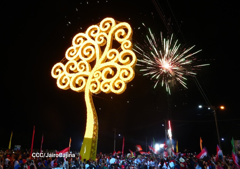 ARBOL-(8)