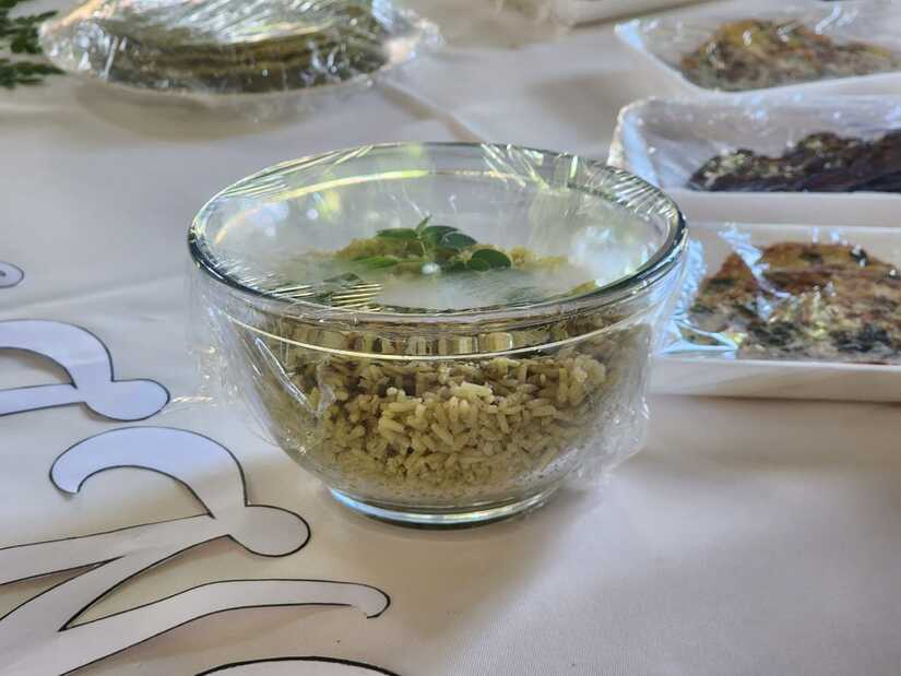 MORINGA1