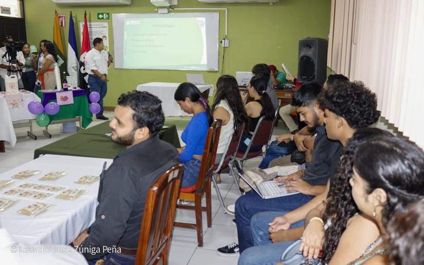 proyectos-7