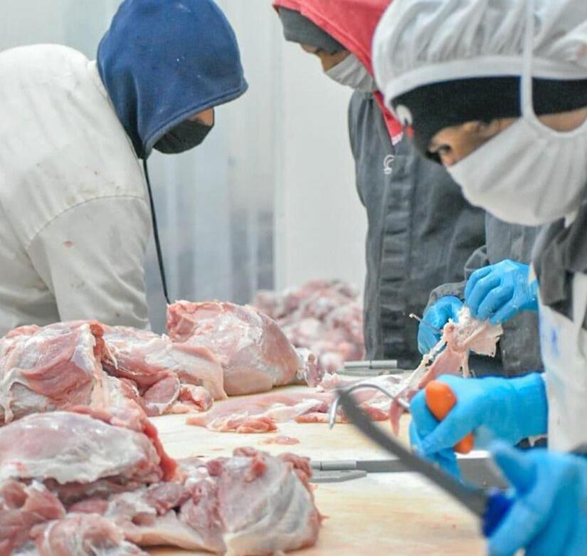 CARNE3