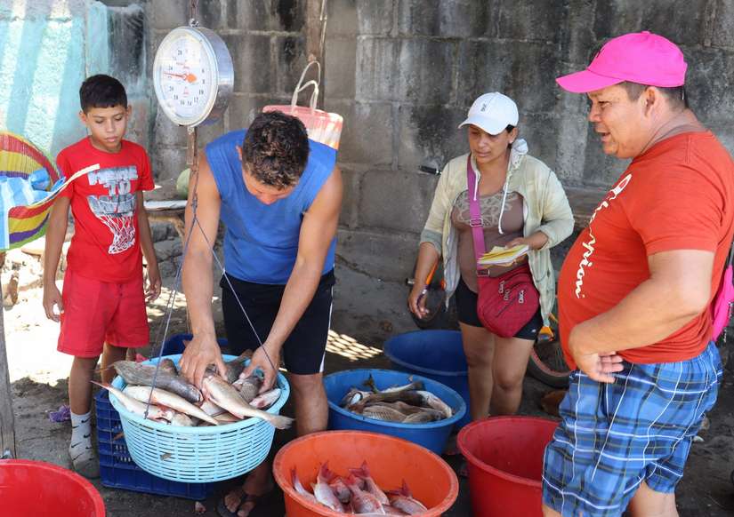 PESCA4