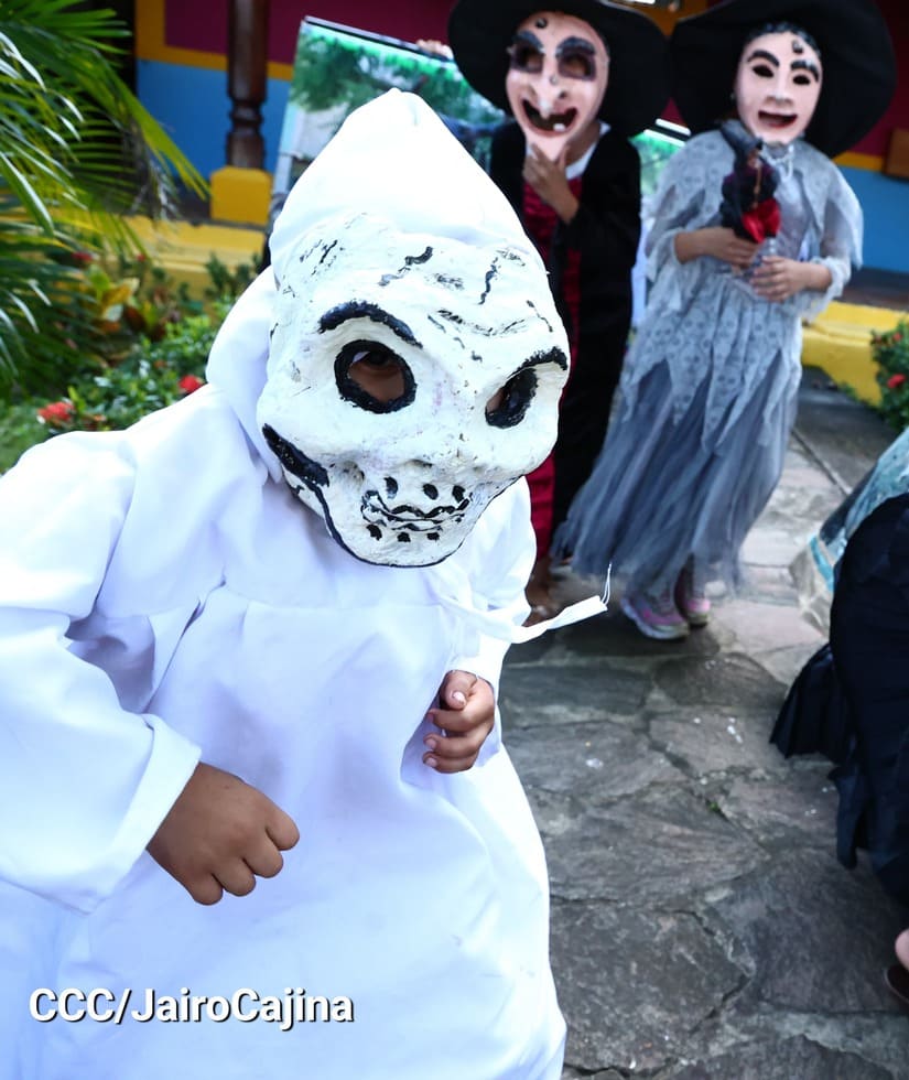 MASAYA2