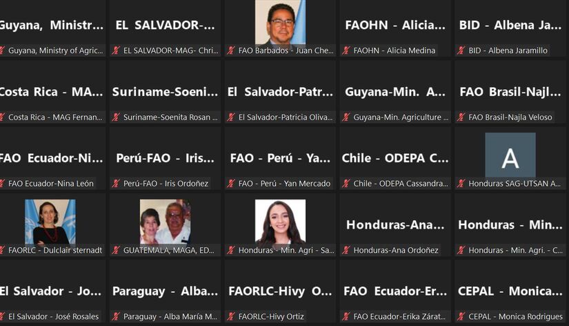 celac-(3)