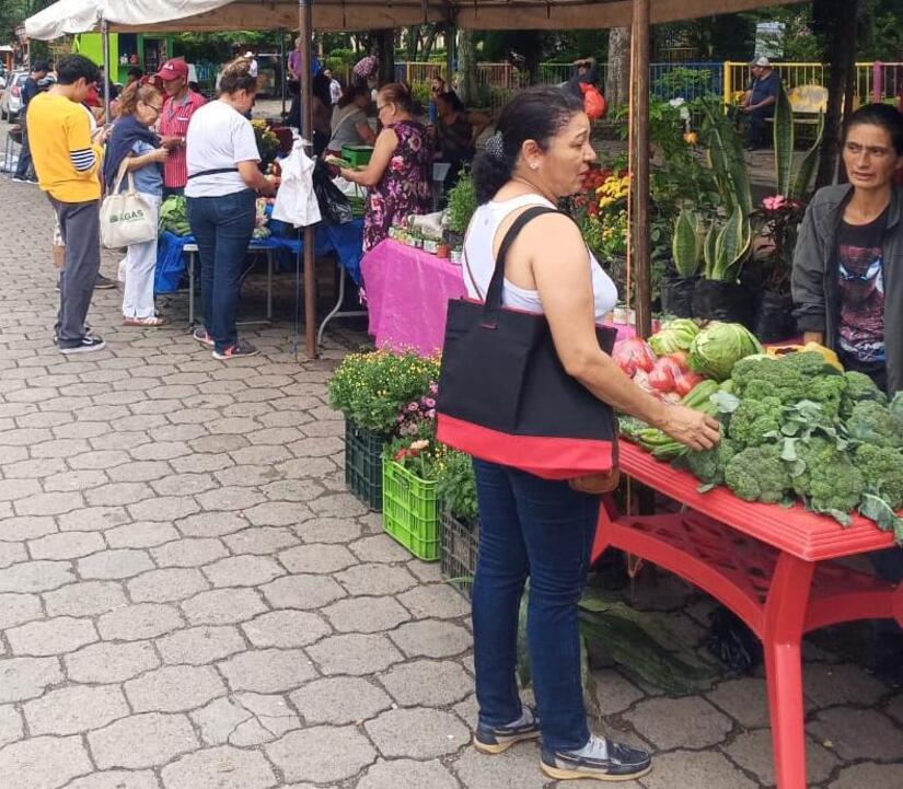 mercaditos12