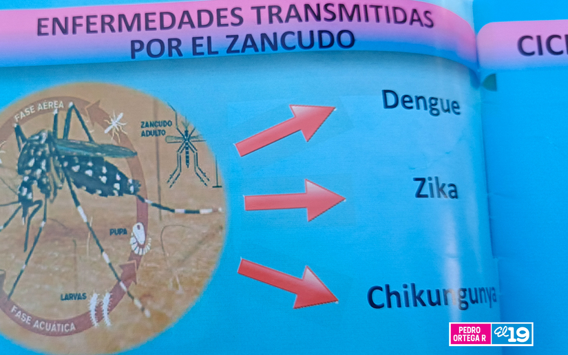 MINSA-(1)