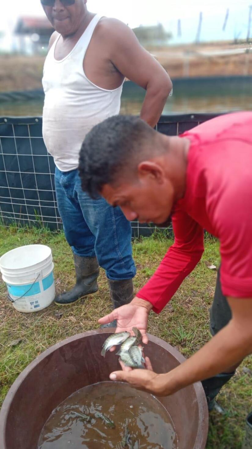 inpesca-9