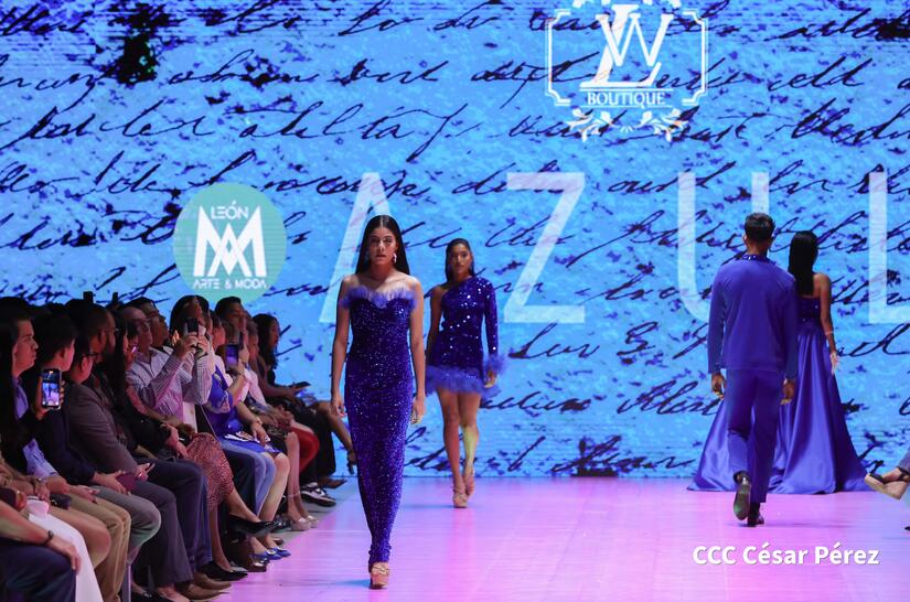 MODA-(6)