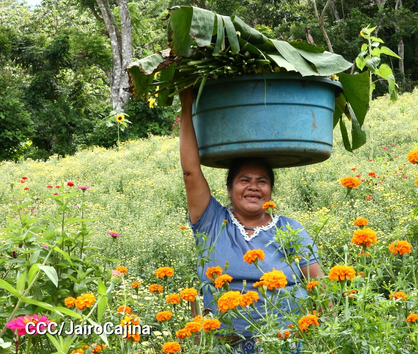 FLORES-(10)