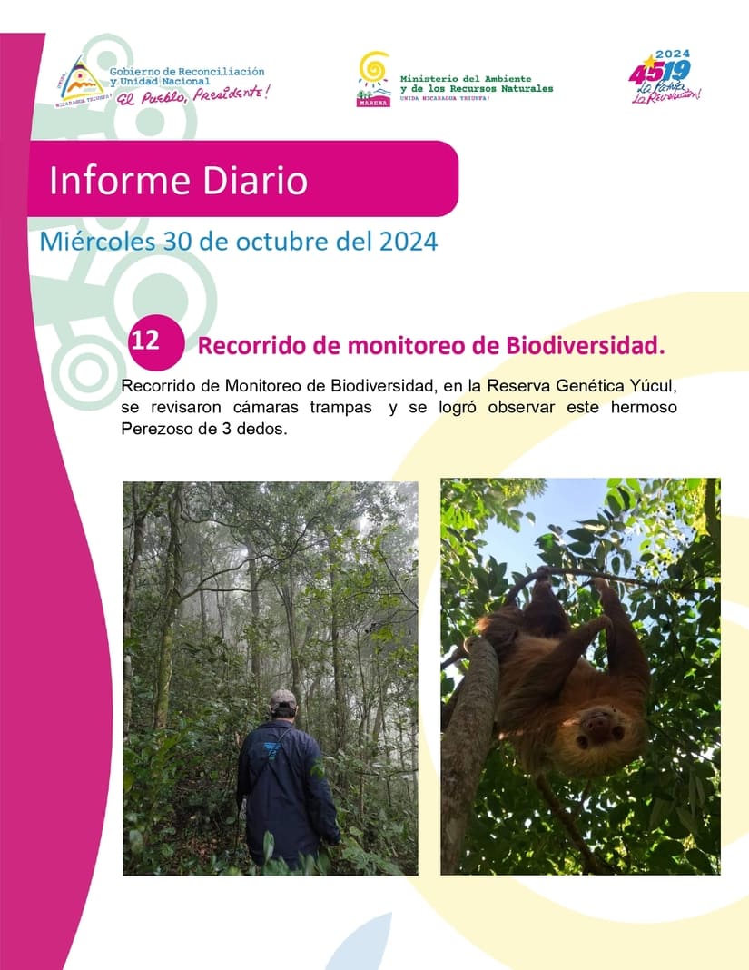 MARENA-(12)