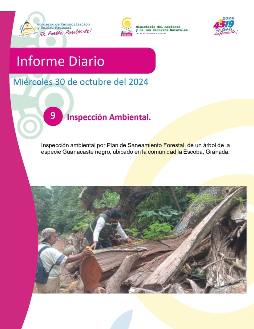 MARENA-(9)