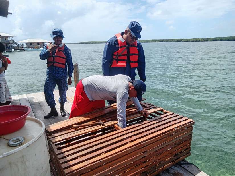 INPESCA12