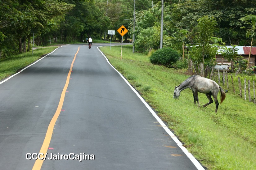 CARRETERA