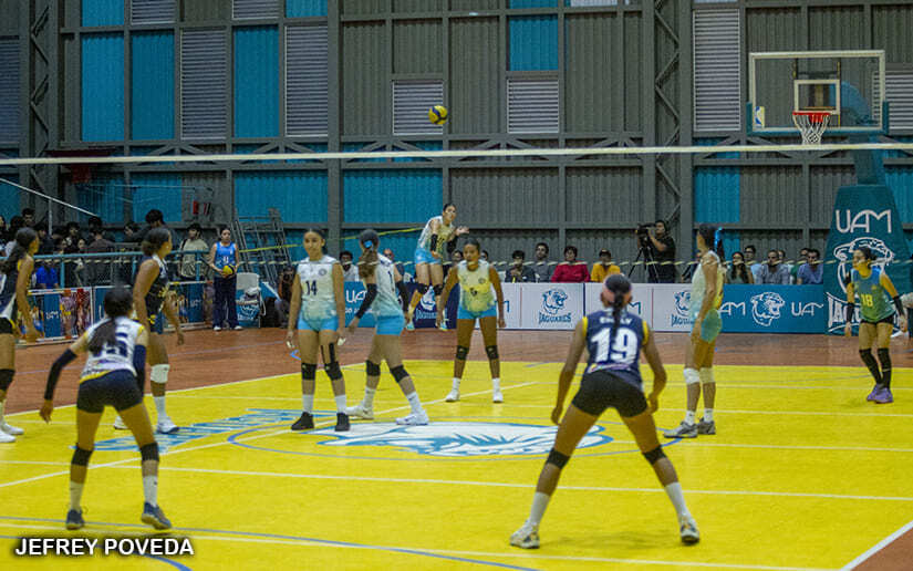 VOLEIBOL-(6)