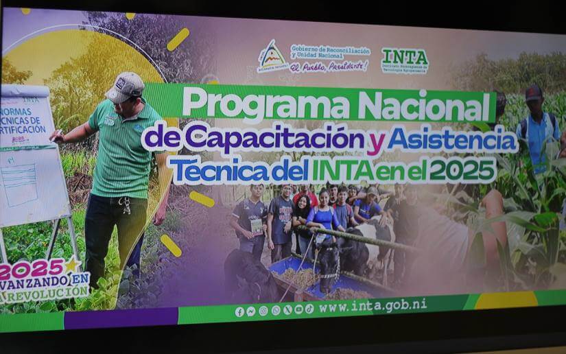 PRODUCTORES6