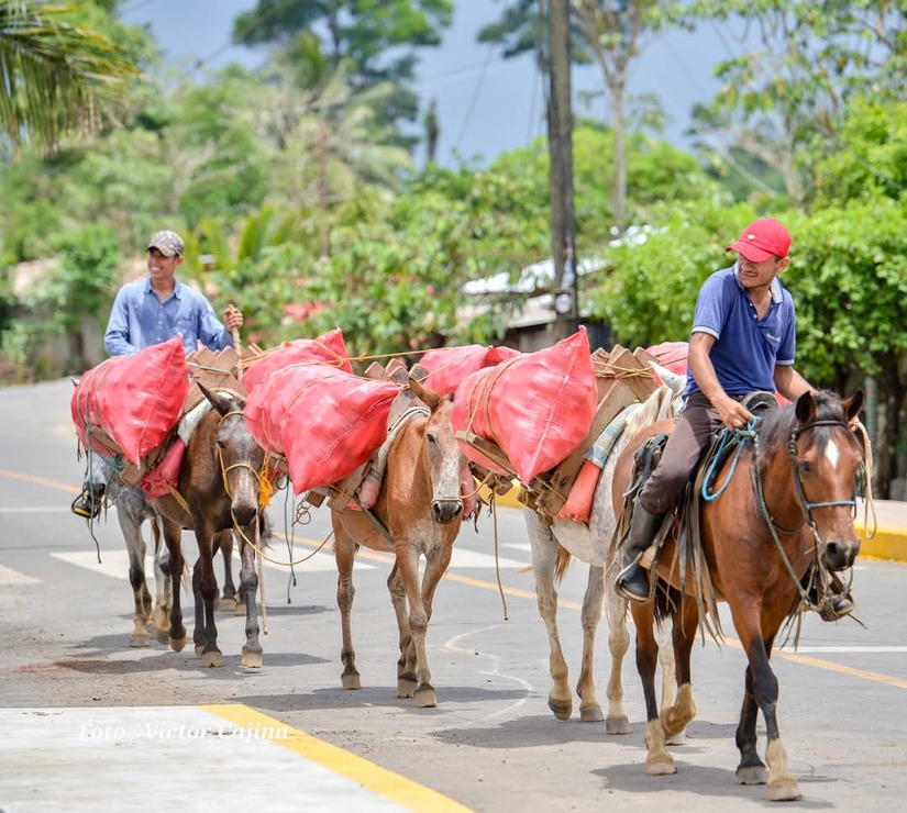 CARRETERA8