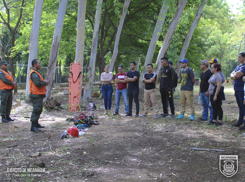DEFENSA6