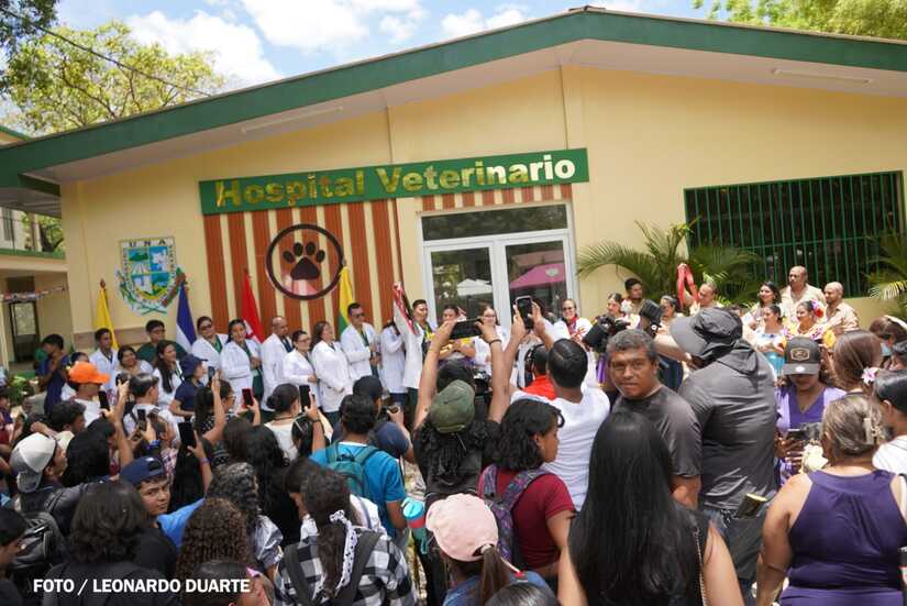 HOSPITAL13