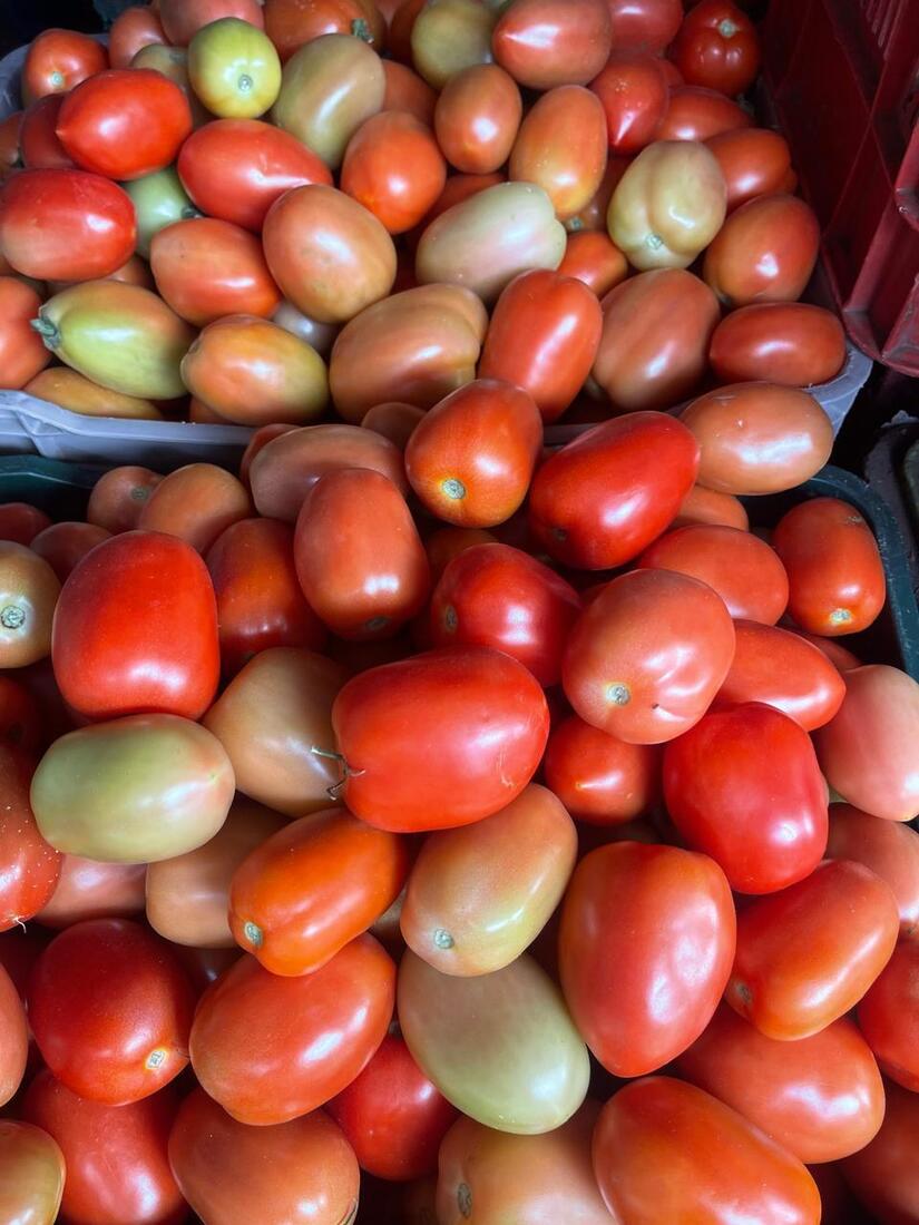 TOMATE11
