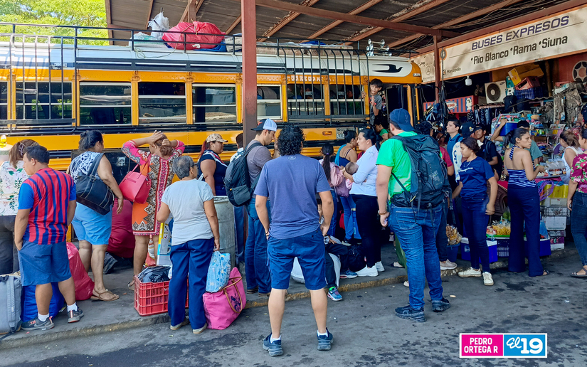 Mercado-Mayoreo-5