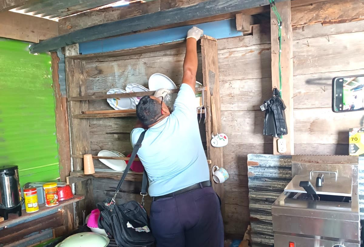 desratizacion3