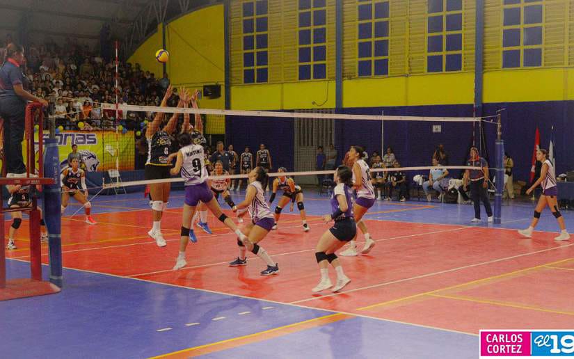 Liga-de-Voleibol-Femenino-de-Primera-Division-(43)